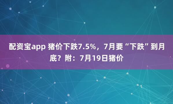 配资宝app 猪价下跌7.5%，7月要“下跌”到月底？附：7月19日猪价